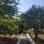 Dassia Green Apartments Διαμέρισμα *