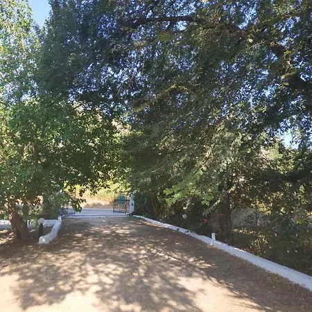 Dassia Green Apartments * דאסיה