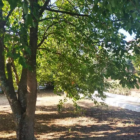 Dassia Green Apartments דירה *