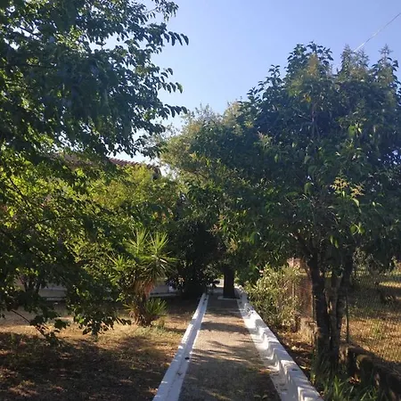 Dassia Green Apartments דירה *