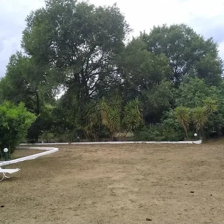 Dassia Green Apartments דירה